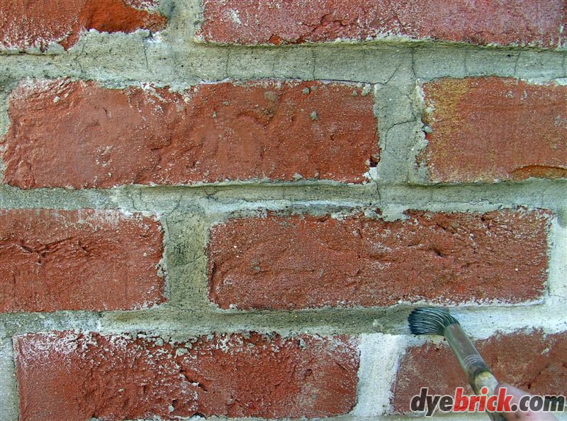 Applying Dyebrick 1